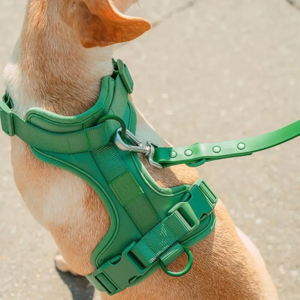 Wild One Adjustable Cushioned Dog Harness - Spruce - Small